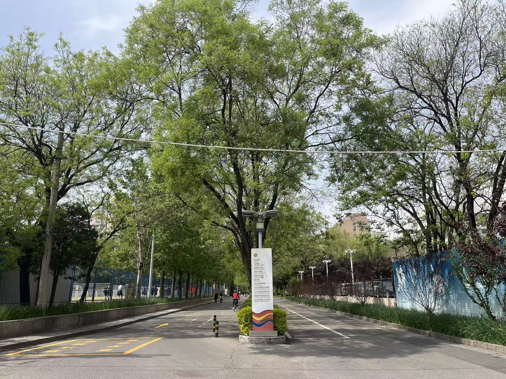 排球园林.jpg